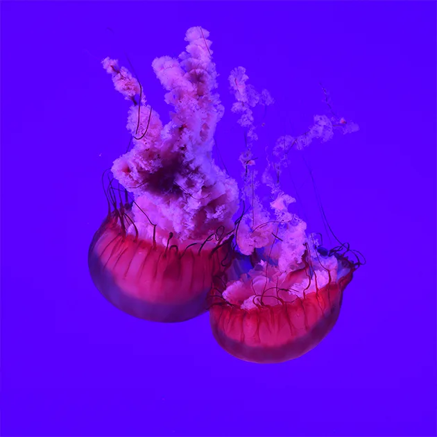 pg模拟器2